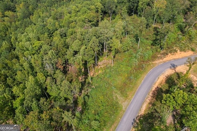 LT 275 Highgrove Dr, Talking Rock, GA 30175 - photo 2