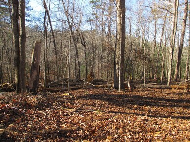 0 Huron Ct unit 420757, Ellijay, GA 30540 - photo 5