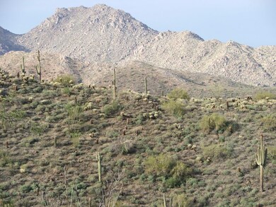 McDowel Mtns