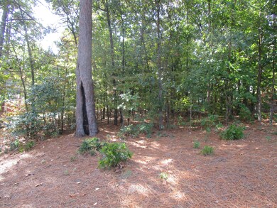 25 Aronimink Ln Back (2)