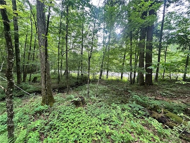 0 County Highway 3a unit R1629709, Unadilla, NY 13849 - photo 3