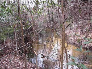 Sam Carver River Back of Property