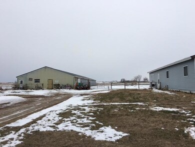 IMG_2229