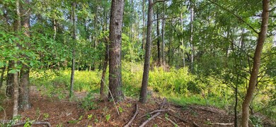 wooded 6