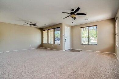 Desert Haven-7