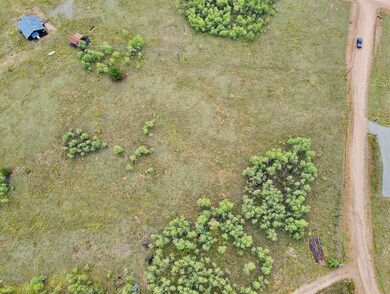 1087 Kite Ct, Como, CO 80456 - photo 4