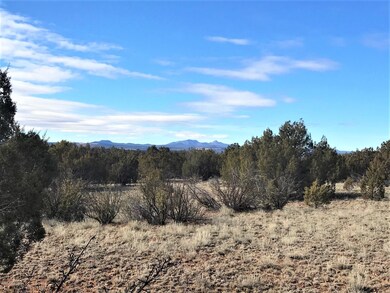 5354 N Forest Line Rd, Ash Fork, AZ 86320 - photo 6