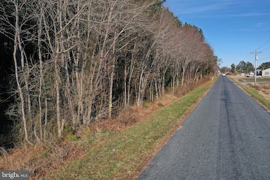 0 Bent Pine Rd unit MDWC2020984, Willards, MD 21874 - photo 5