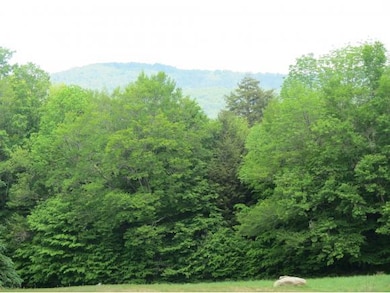 00 Bixby Rd, Ludlow, VT 05149 - photo 2