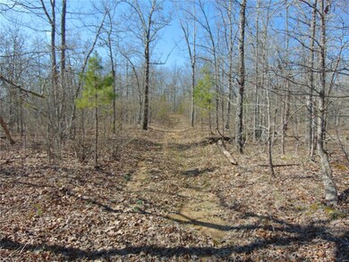 0 Tbd Co Rd 431, Poplar Bluff, MO 63901 - photo 2