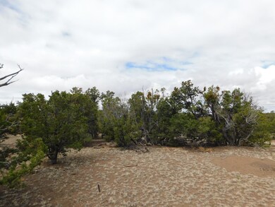174 Agua Fria Loop, Quemado, NM 87829 - photo 7