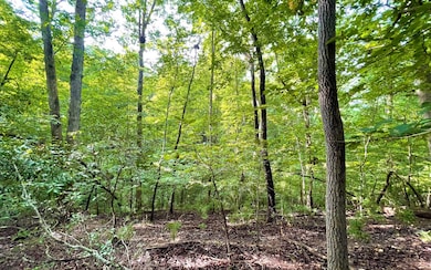 Additional View