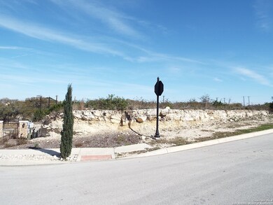 23510 Messina Canyon, San Antonio, TX 78255 - photo 2