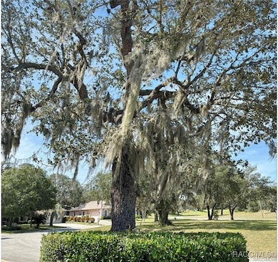 5220 W Mountainview Cir, Lecanto, FL 34461 - photo 3