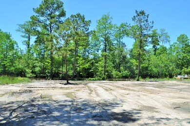 O Lowtide Dr, Escatawpa, MS 39562 - photo 3