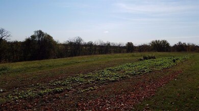 9143 Elizaville Rd, Ewing, KY 41039 - photo 4