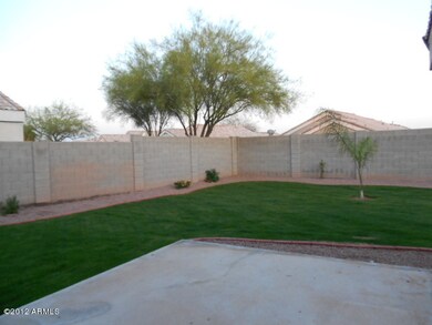 Back yard
