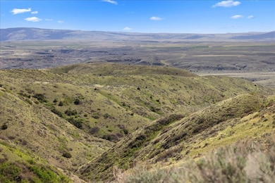 Looking south