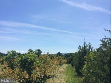 0 Buffalo Marsh Rd unit 1001322905, Middletown, VA 22645 - photo 7