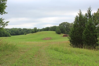 0 Goodbar Rd unit RTC1692001, Mc Minnville, TN 37110 - photo 2