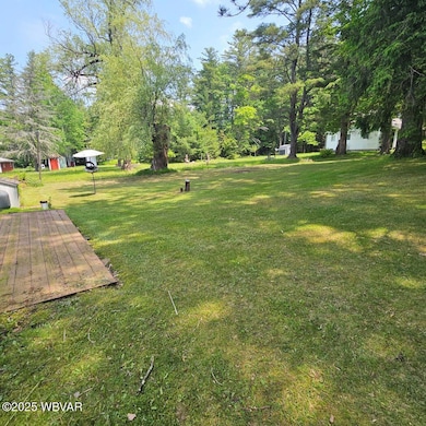 Rear yard