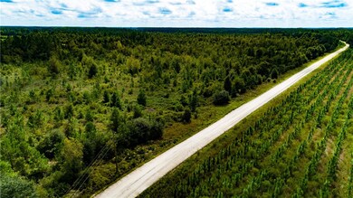 0 Blackshear Hwy unit 1636195, Surrency, GA 31563 - photo 4