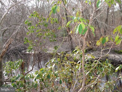 251 Pemberton Browns Mill Rd, Browns Mills, NJ 08015 - photo 5