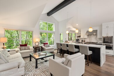 927 E Durant Ave unit 3, Aspen, CO 81611 - photo 7