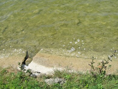 120 Lane 110a West Otter Lake, Angola, IN 46703 - photo 4