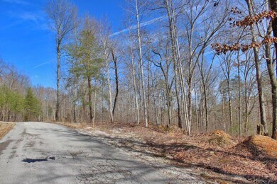 19 Haynes Knob Rd, Somerset, KY 42501 - photo 7