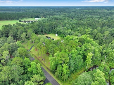 182 Horseshoe Dr, Moultrie, GA 31788 - photo 4