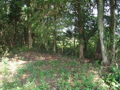 830 Braden Rd, Mason, TN 38049 - photo 2