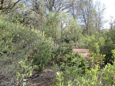 Photo 06