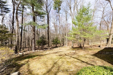 53 Freemont St, Lexington, MA 02421 - photo 7