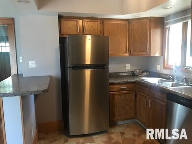 827 Decatur St, Lincoln, IL 62656 - photo 3