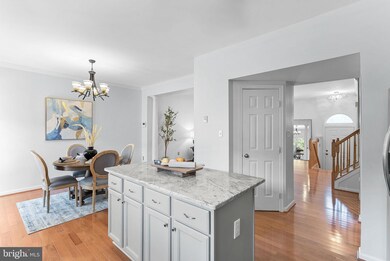 20355 Briarcliff Terrace, Sterling, VA 20165 - photo 6