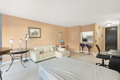 535 N Michigan Ave unit 1710, Chicago, IL 60611 - photo 4