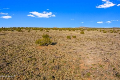 591 S Palmetto Rd, Valle, AZ 86046 - photo 4