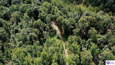 Tract 13 Cook Ln, Cromwell, KY 42333 - photo 5