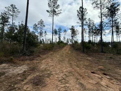 0 Cr 472 unit 37260, Meridian, MS 39301 - photo 7