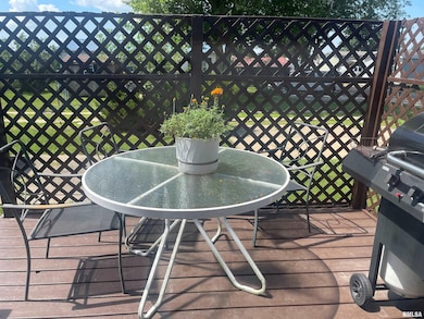 1601 E Jackson St unit 225, Macomb, IL 61455 - photo 3