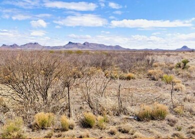 CF8M+9MM Douglas unit Arizona USA, Douglas, AZ 85607 - photo 7