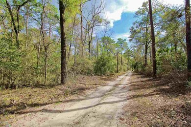 0 San Peoro Dr unit 315966, Crawfordville, FL 32327 - photo 2