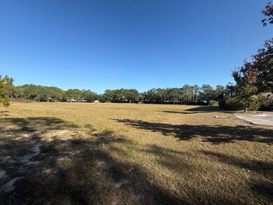 0 Forest Rd, Spring Hill, FL 34606 - photo 7