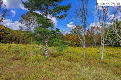 55 Eagle Creek Trail, Beech Mountain, NC 28604 - photo 2