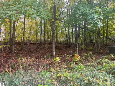 00 E Cherry Ln unit 174, Cedar, MI 49621 - photo 4