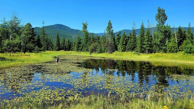 Nhn Trout Creek Rd, Trout Creek, MT 59874 - photo 2