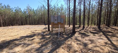 355 Hillbrook Dr, Linden, TN 37096 - photo 7