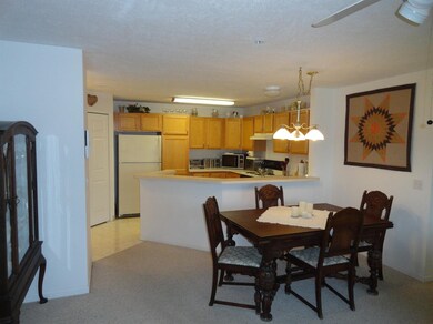 4705 Inverness St, Dexter, MI 48130 - photo 7