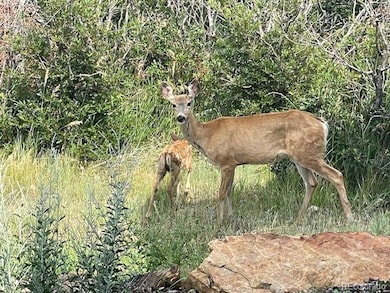 7186 Weaver Cir, Castle Rock, CO 80104 - photo 6